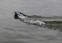 IMG_6507